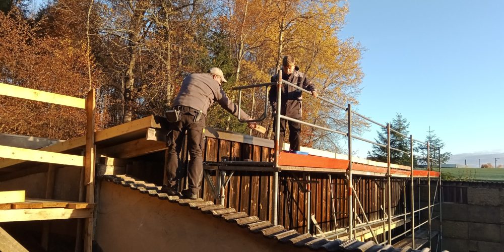 IMG_20251108_080910_036